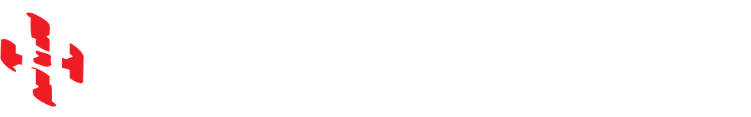 pricenton ethiopian eritrean & egyptian miracles of marry project